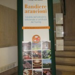 http://www.cameradicommerciolatina.it/images/fototeca/TCI_Bandiere_arancioni/integrazione/bandiere_21.jpg