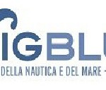 Logo BigBlu