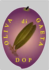 Oliva di Gaeta